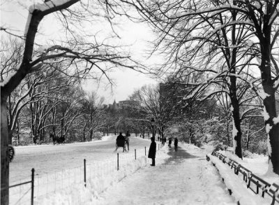 Wurts Bros. - Central Park. Snow scene, ca. 1905